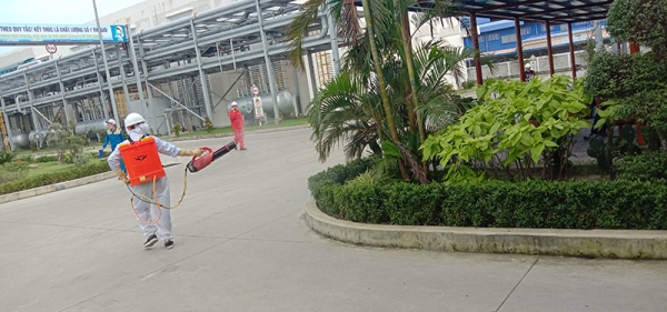Dịch vụ diệt mối, diệt côn trùng